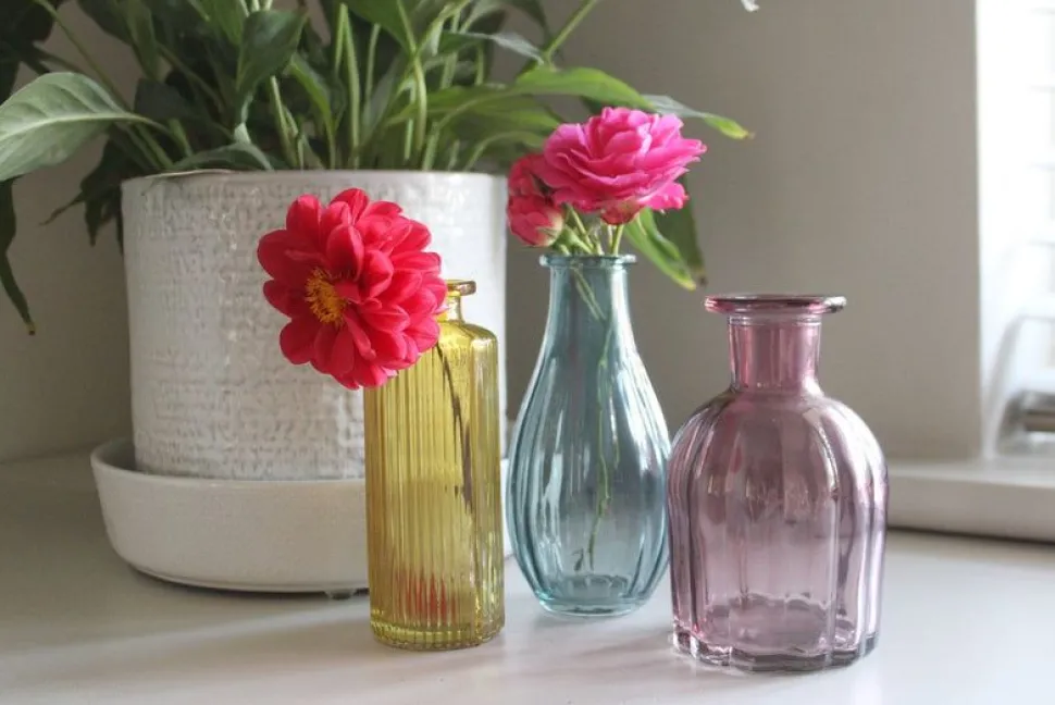 3 Colours Glass Vases
