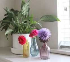3 Colours Glass Vases