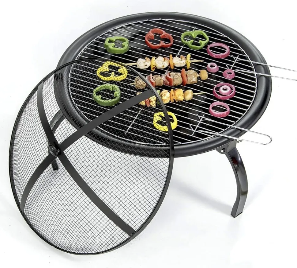 BBQ Grill and Firepit