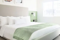 Chenille Throw Green