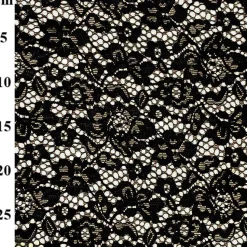 Corded Lace Fabric Black