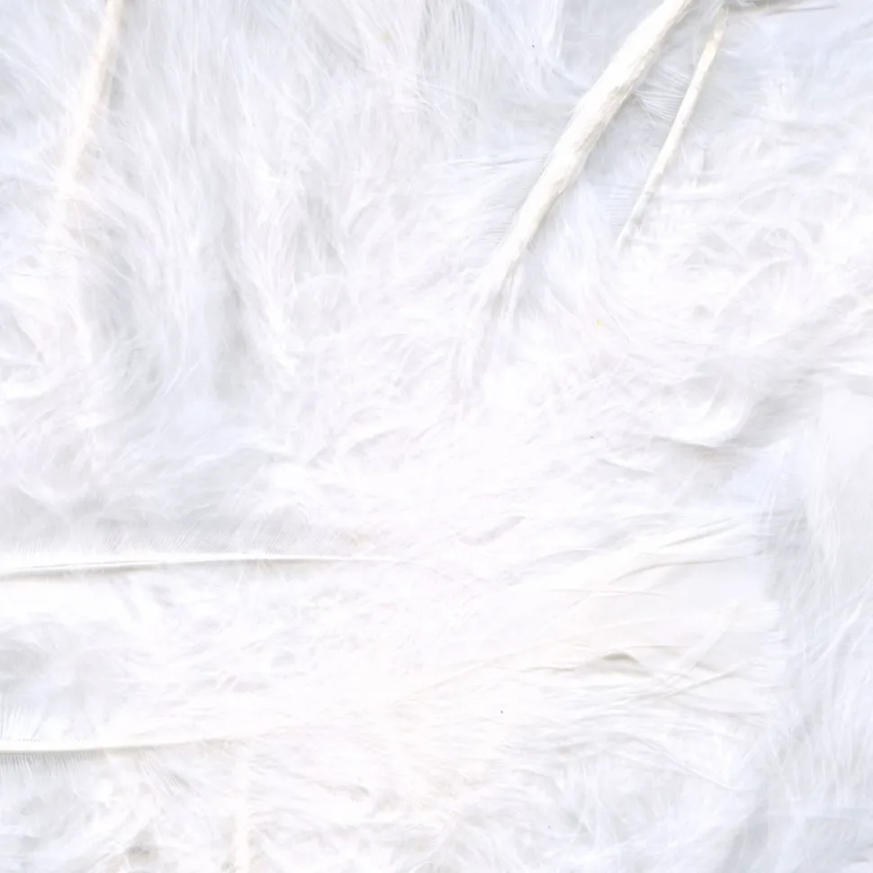 Craft Feathers Mixed Sizes 8g Bag