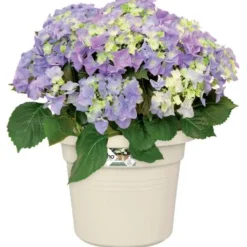 Elho Plant & Flower Pot 34cm
