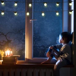 Festoon Lights 6 metre Indoor & Outdoor - Warm White