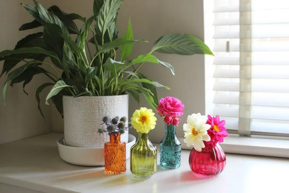 Set of 4 Boho Posy Vase Bottles