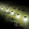 Solar LED Light Spike 36cm