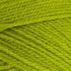 Special DK Yarn 1852 Apple 100gm