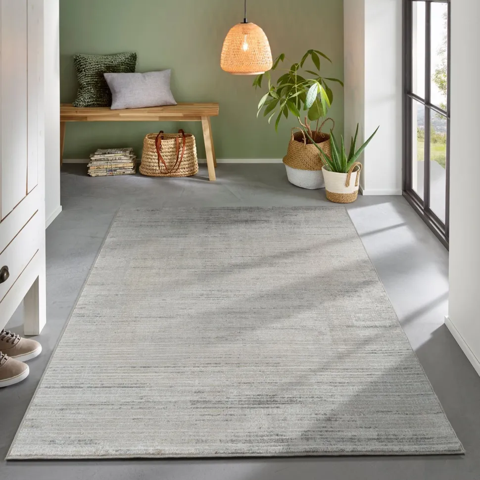 Step Gobi Cream & Grey Rug 160x220 cm